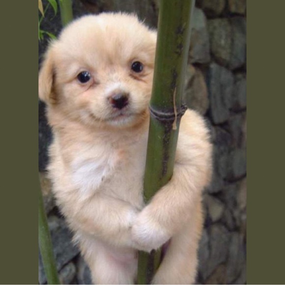 Unlisted - Picture 2 of 2